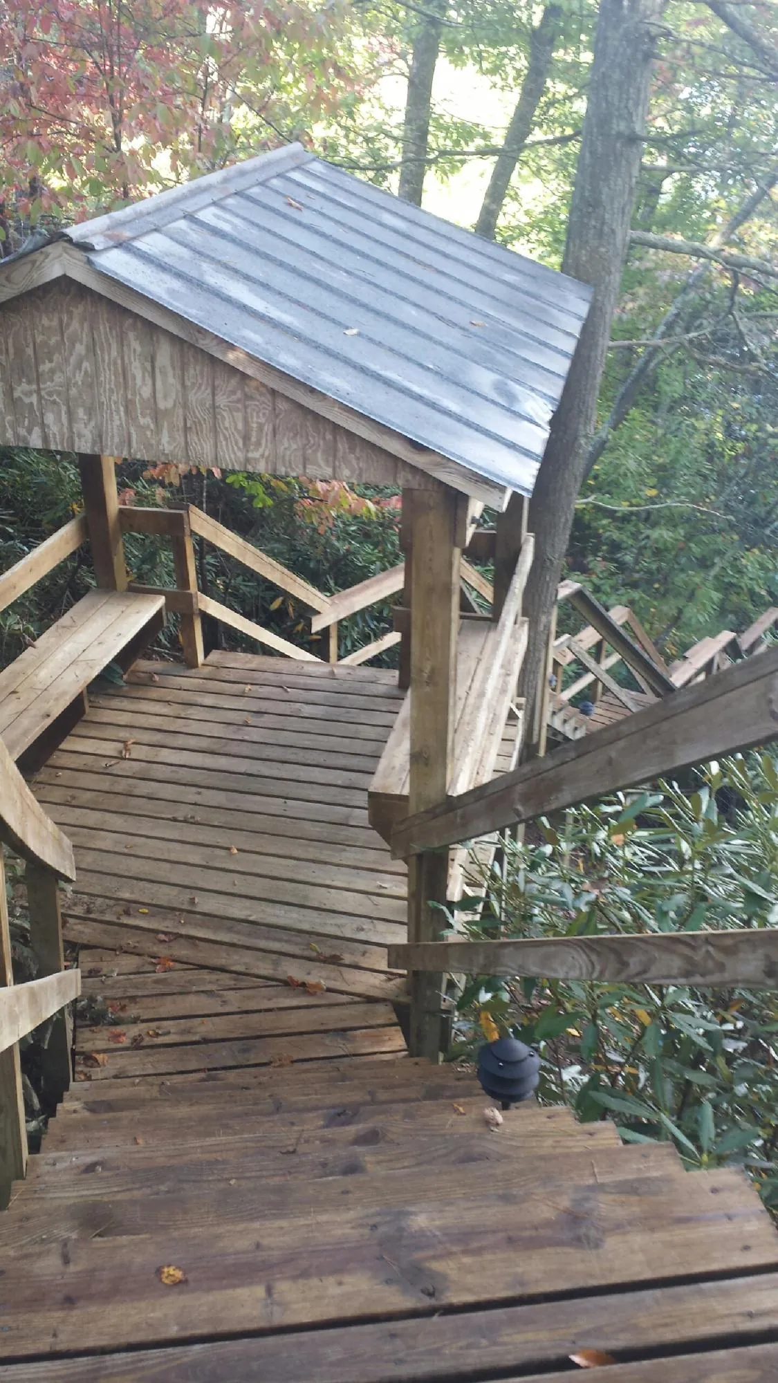 Metal roofed shelter over wooden steps on a wooded walkway in Delco